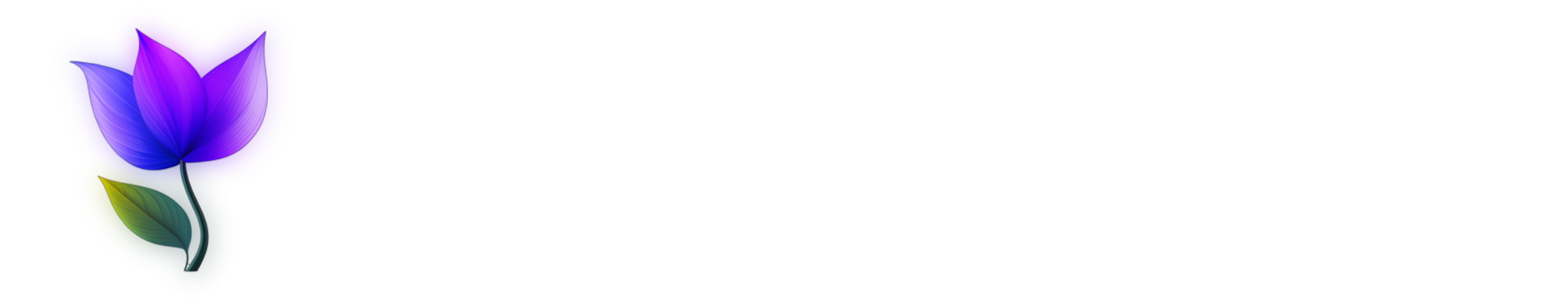 luxenstudio